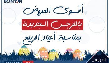 عروض النرجس الجديدة